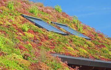 Tolhurst living roof systems